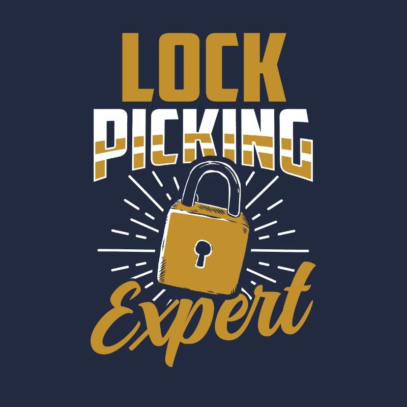 Lockpicking Expert Cracking Lock Lock Picking