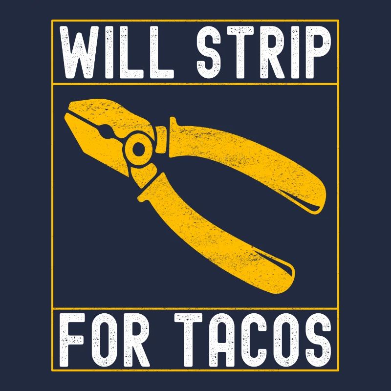 Electrician Electronics Technician