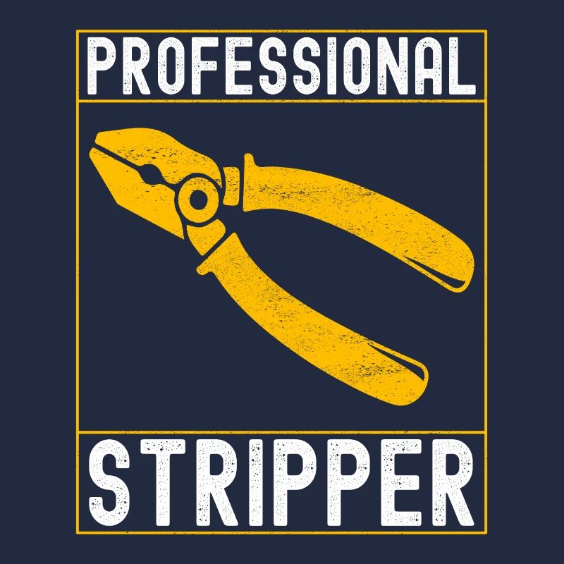 Electrician Electronics Technician