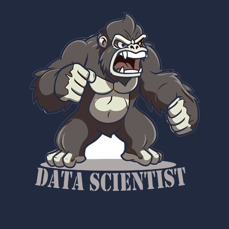 Daten Analytiker Datenschutz Beauftragter