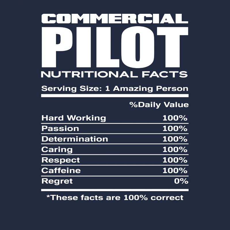 Commercial Pilot Pilot Profession