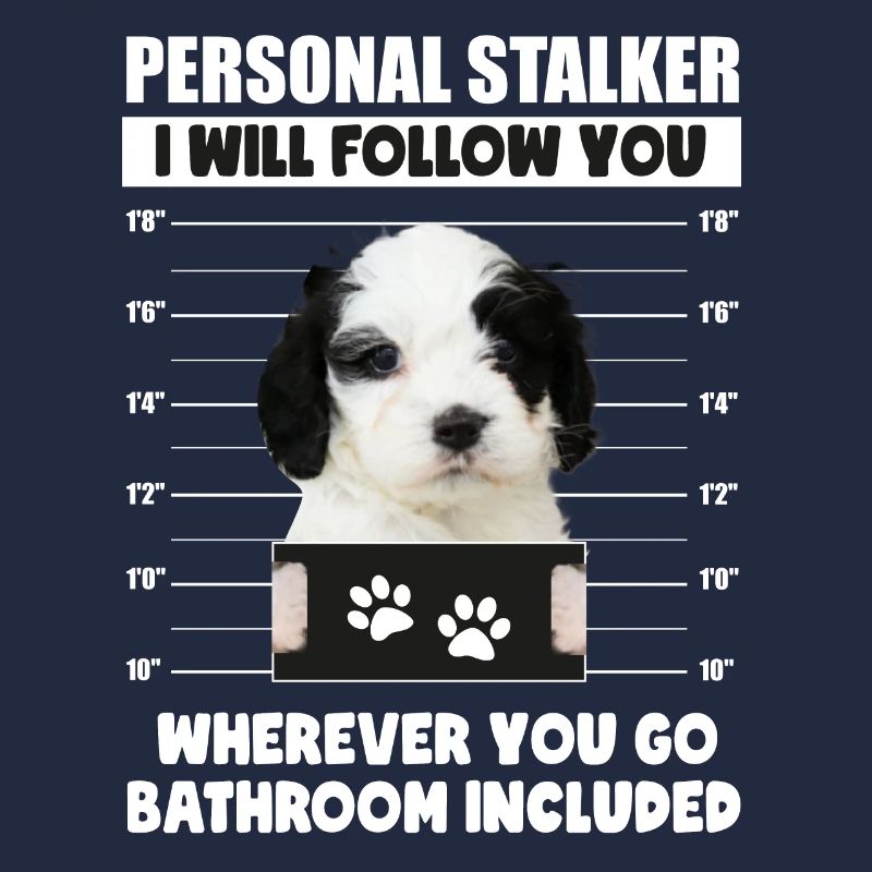 Lustiger persönlicher Stalker Hund Cavapoo Besitzer Geschenk