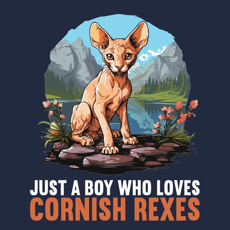 Cornish Rex Kätzchen Cornish Rex Katze