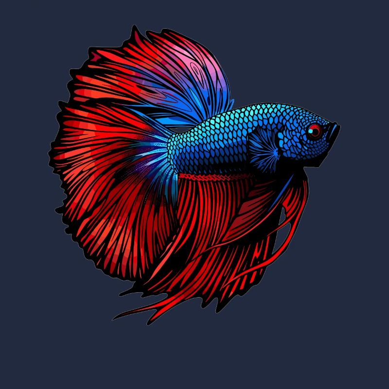 Bettas Betta Fisch Betta