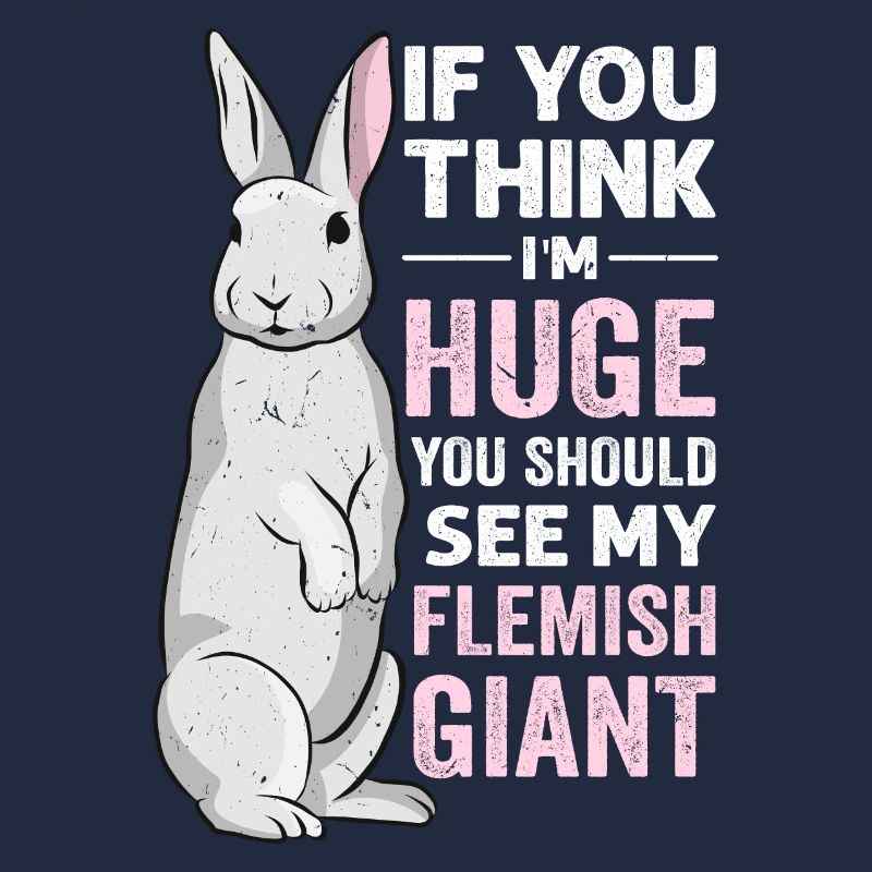 Lapin géant flamand Lapin Lapin