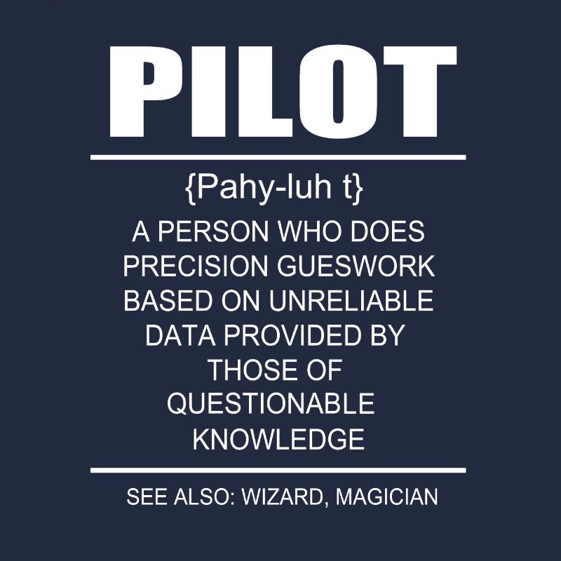 Pilot Flugzeug