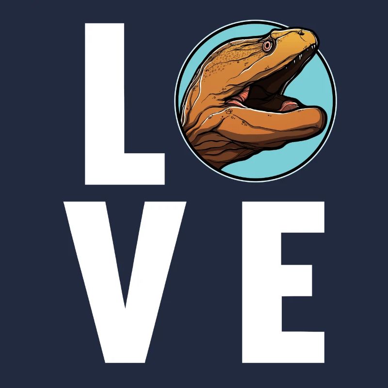 Moray eels Moray eel