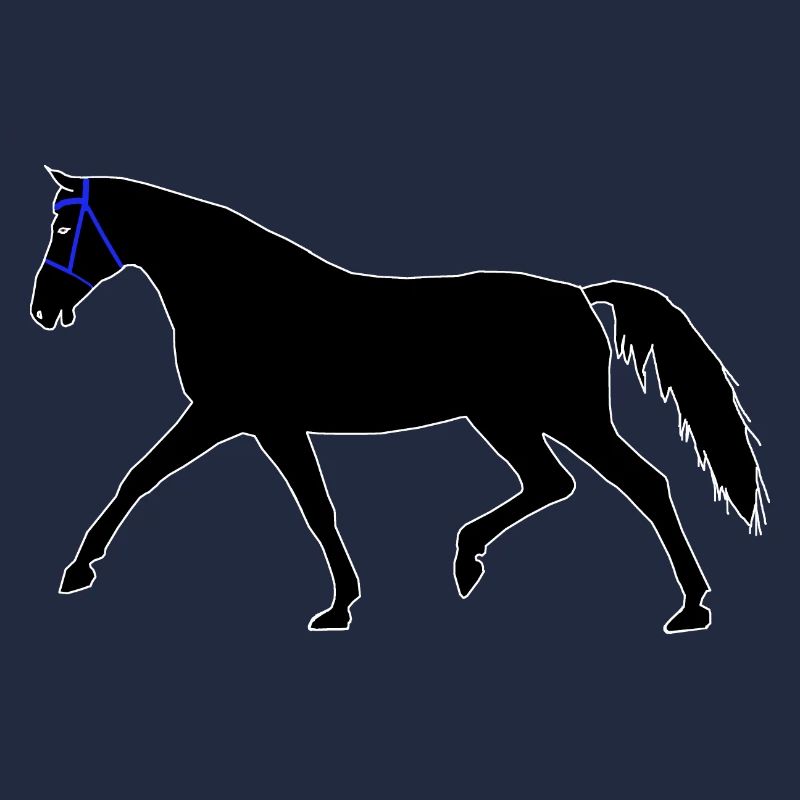 cheval, noir, étalon, cavalier, cavalier, cheval, destrier