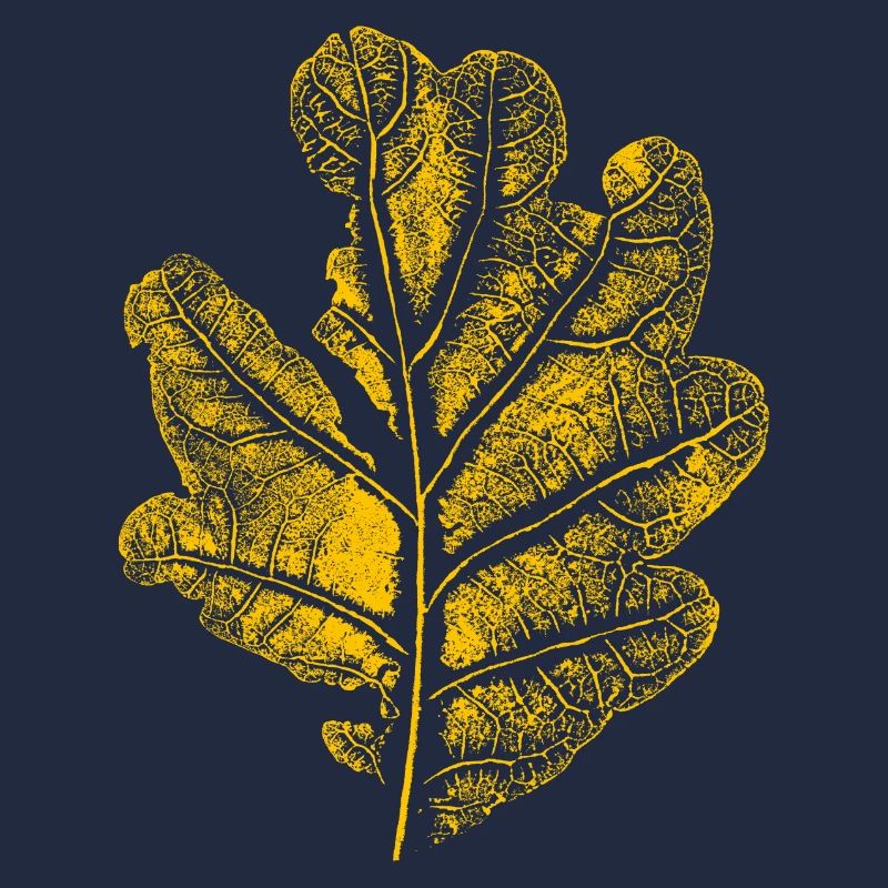 Leaf oak/ oak leaf