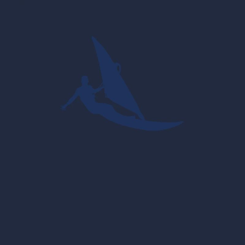 Windsurfer
