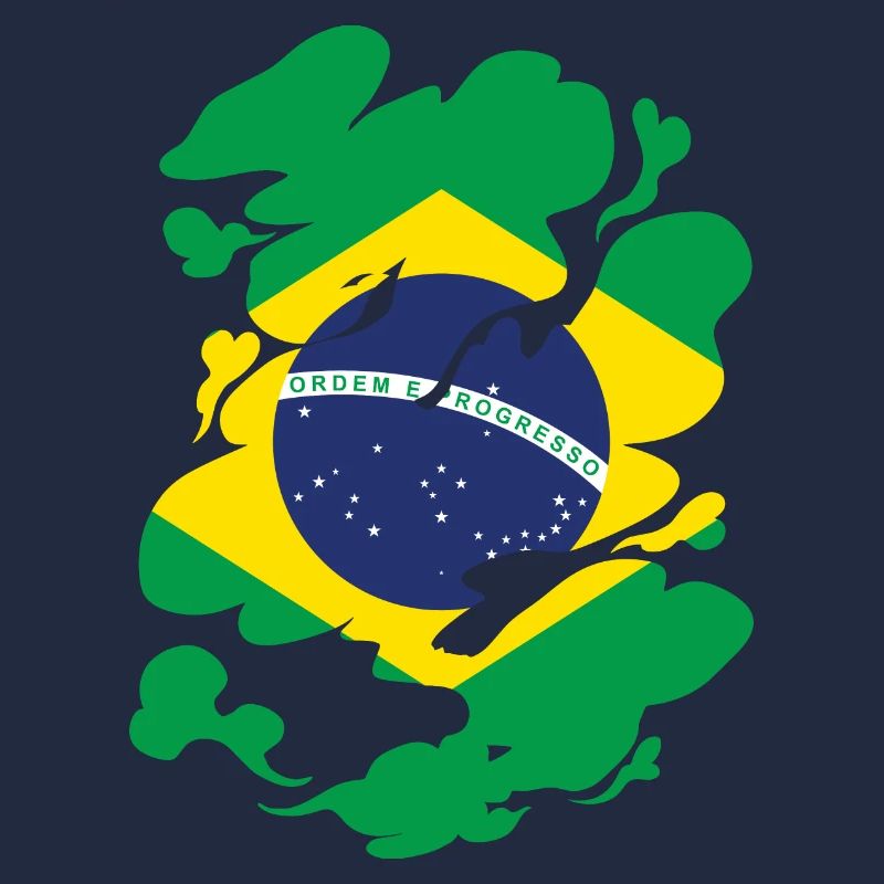Brésil Drapeau Brésilien Drapeau Amérique du Sud