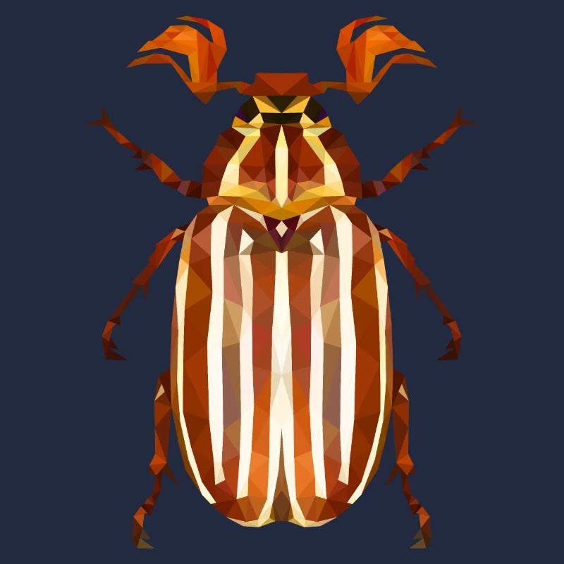 Watermelon Beetle