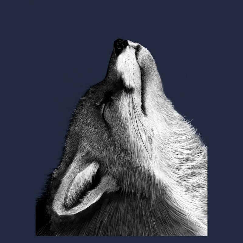 Fuchs