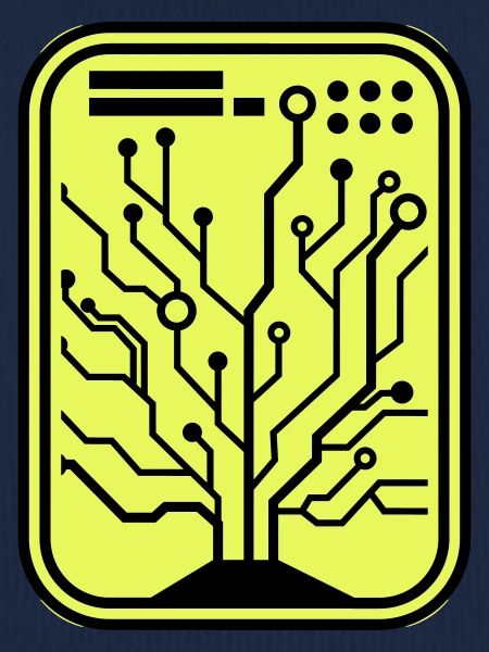 Micro Chip