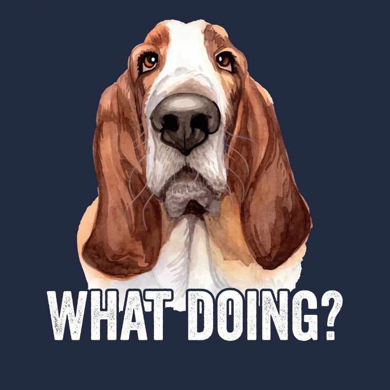 Basset Hound What Doing
