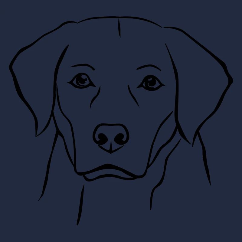 Labrador Hund