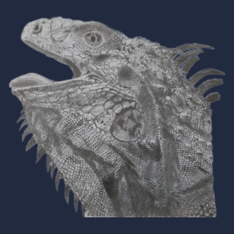 Bartagame