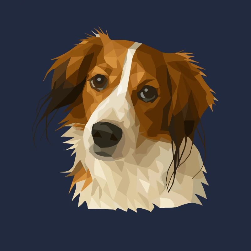 Kooikerhondje im Polygon Style