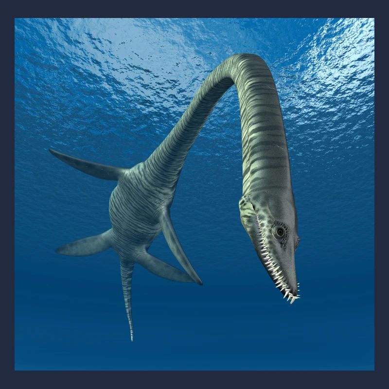 Plesiosaurier Elasmosaurus