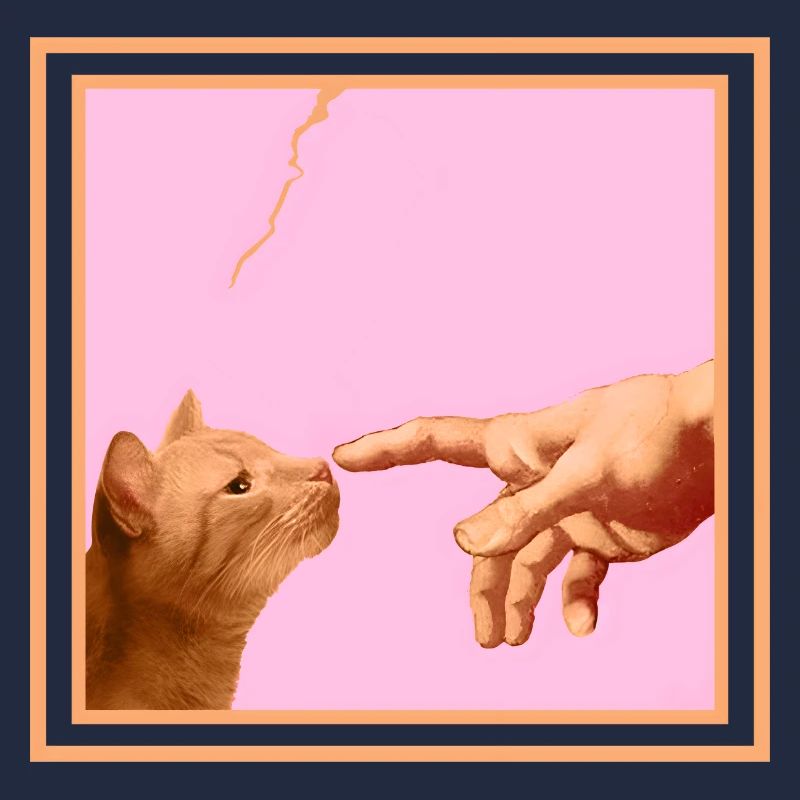Chat