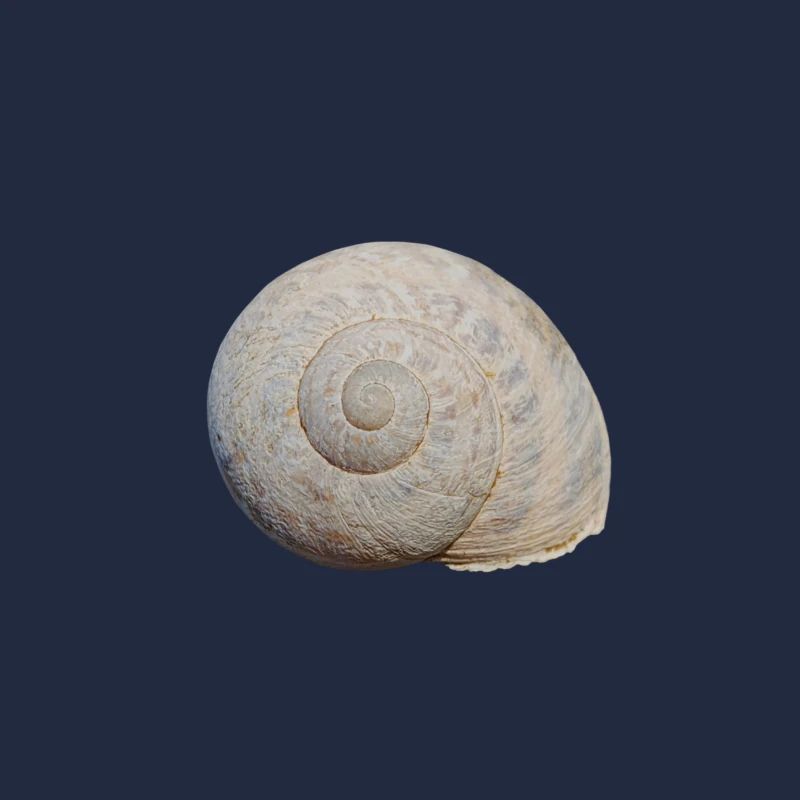 Escargot
