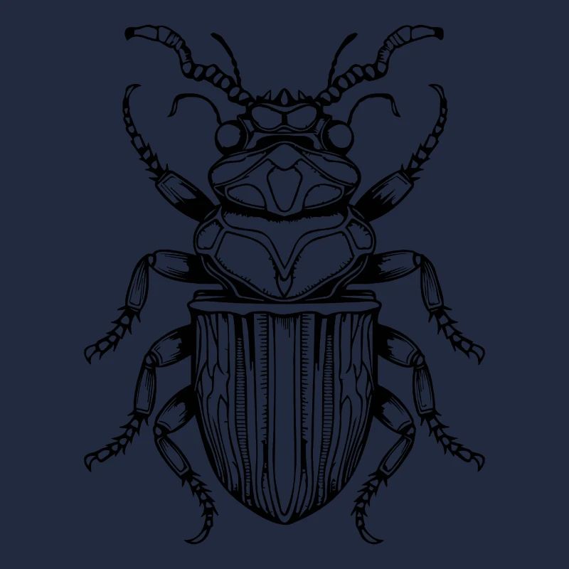 Insectes, bestioles, arthropodes