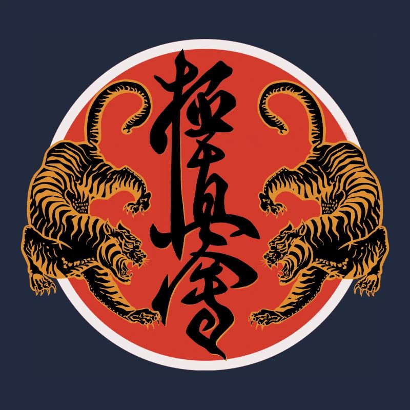 Karate Kyokushin Kampfsport Kampfkunst