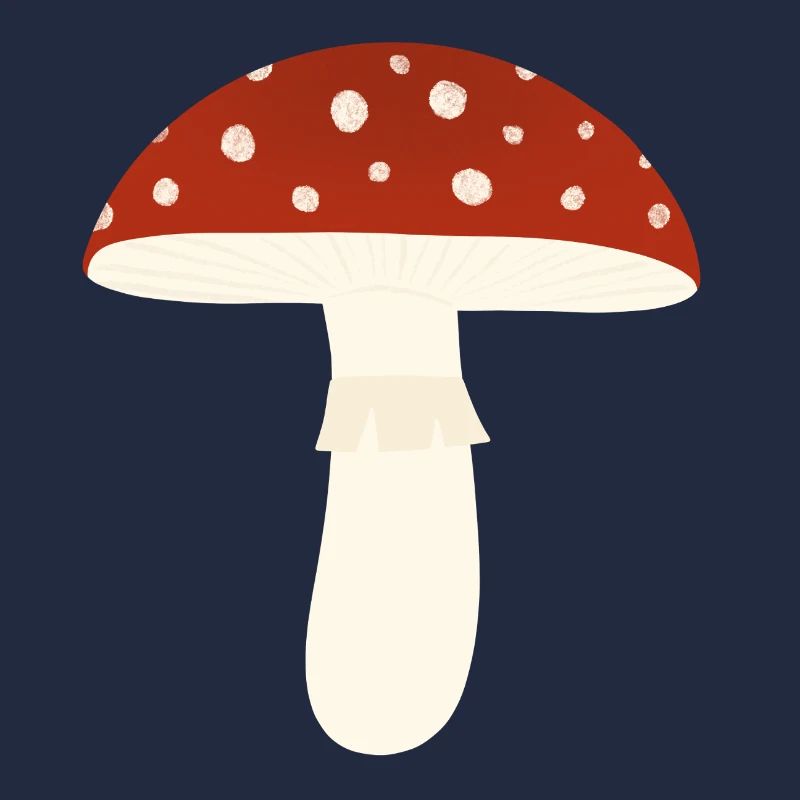 Toadstool Fly Agaric Mushroom
