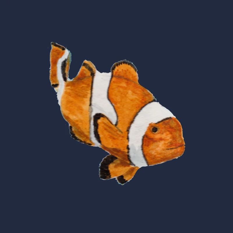 Clownfisch