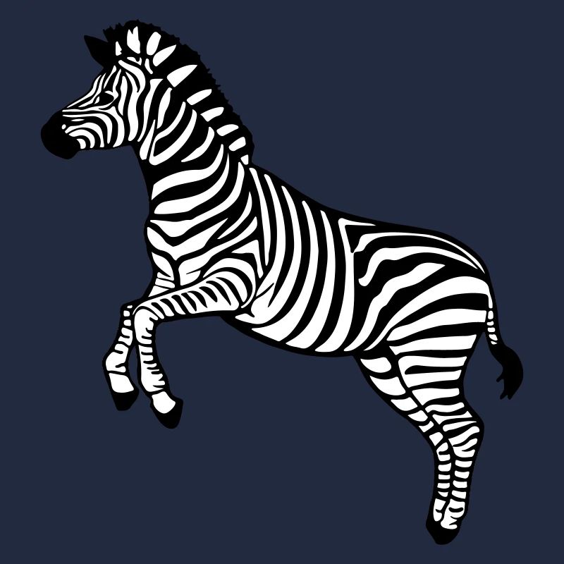 zebra Botswana Zèbre des plaines