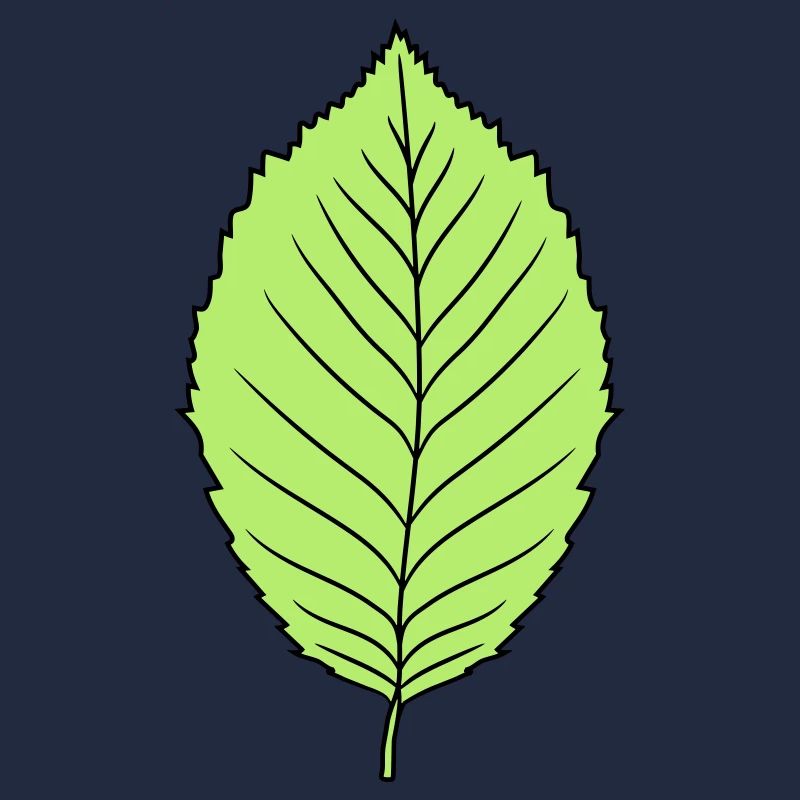beech leaf tree plant shape clip art design forest