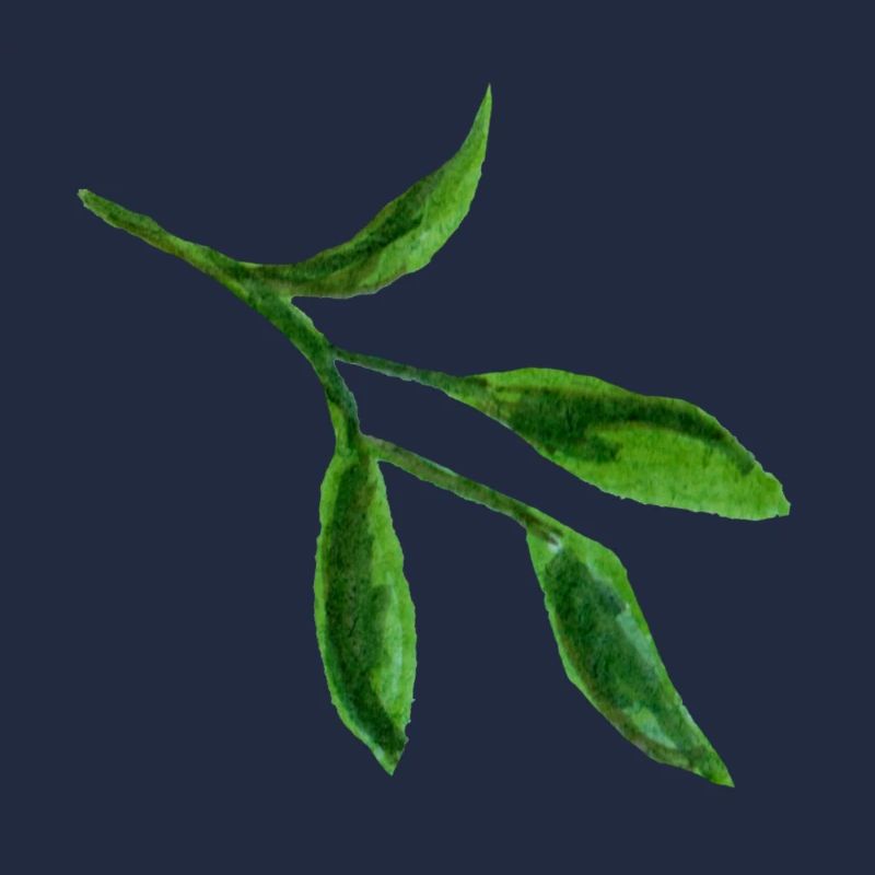 feuille