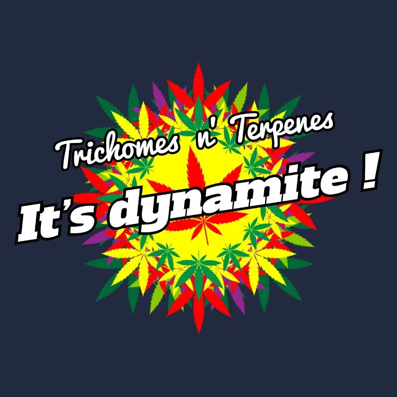 Explosion der Sinne
