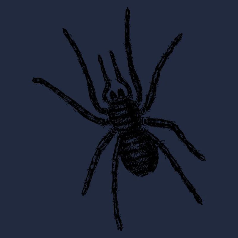 Große Spinne krabbelt über Dich