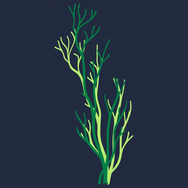 algae underwater coral tree branch plant gra