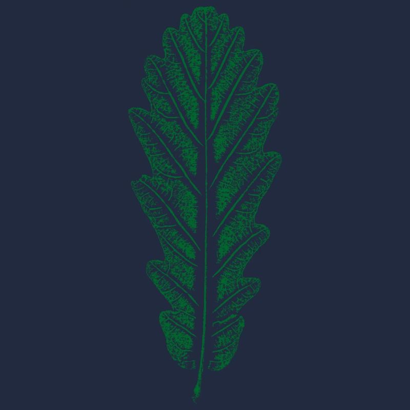Chêne - Feuille / Feuille de chêne - IMPRIMER