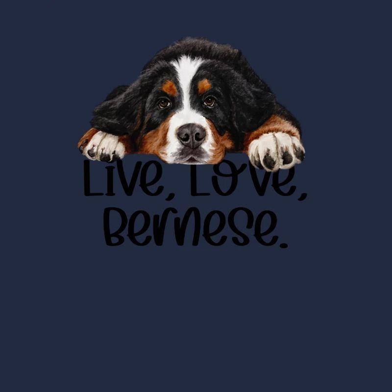 Bouvier bernois