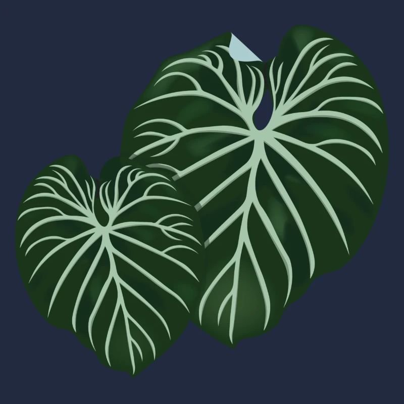 Philodendron Gloriosum