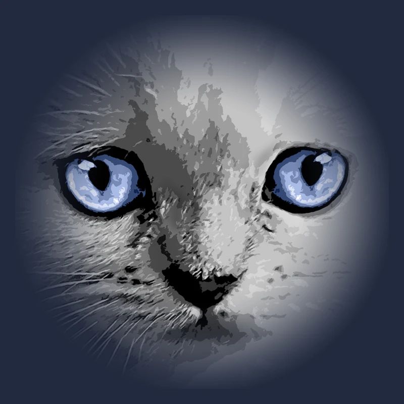 Kitty Kätzchen Katze