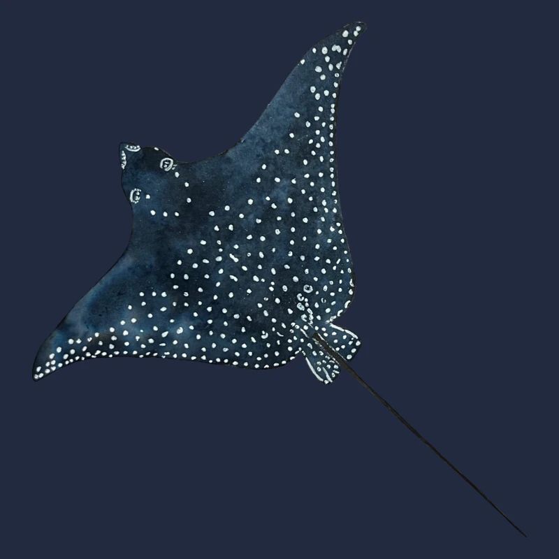 Rochen Adlerrochen Stachelrochen Riff Tauchen