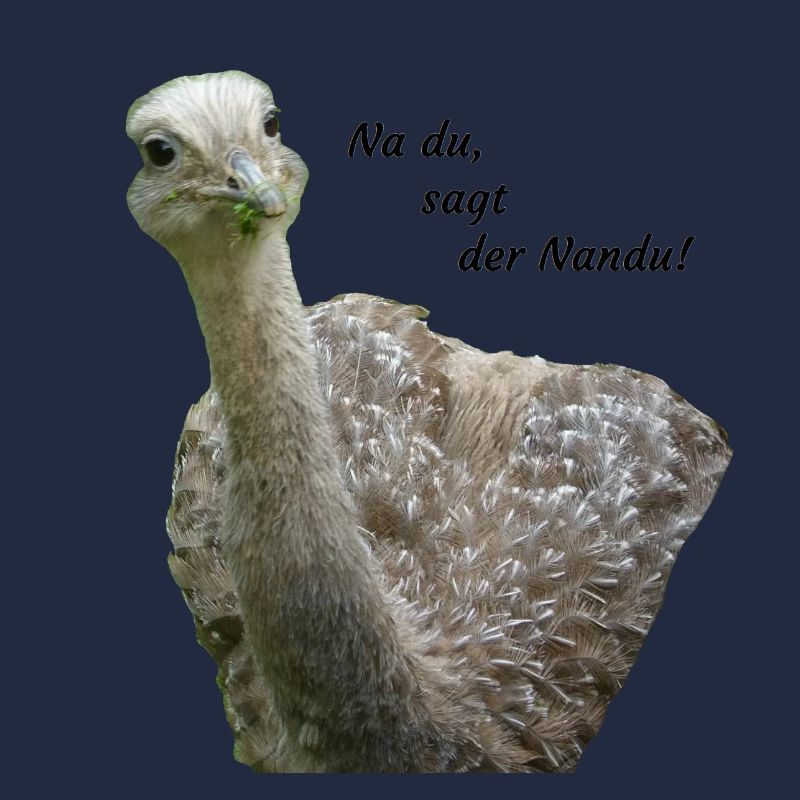 Nandu