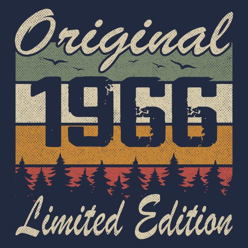 Vintage Geburtstag Original Geschenkidee 1966
