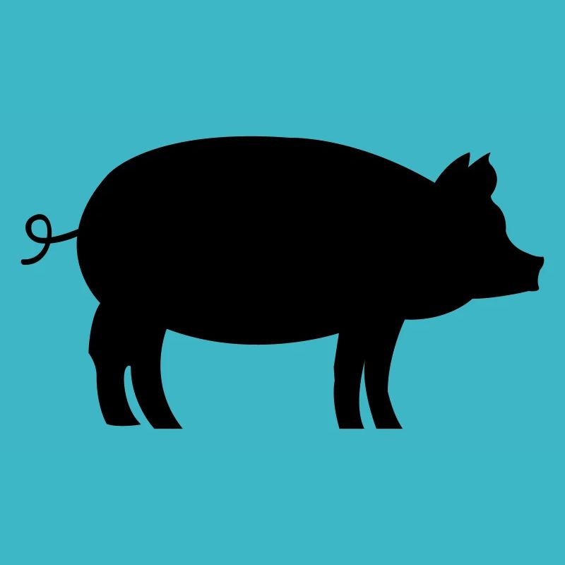 Schwein Pig
