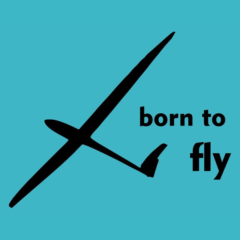 Planeur Planeur Planeur Pilote