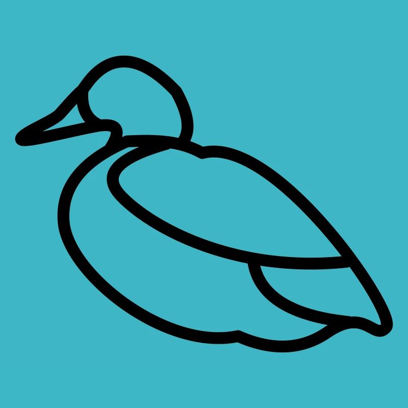 Canard