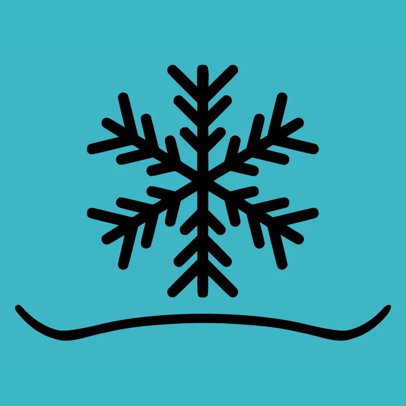 Snowboard Snow X Board