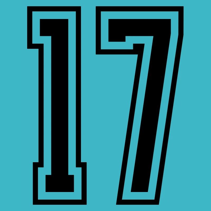 17 Numéro de numéro