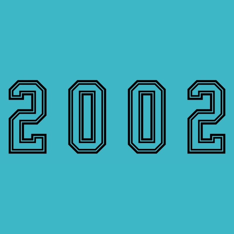 2002 Year Number