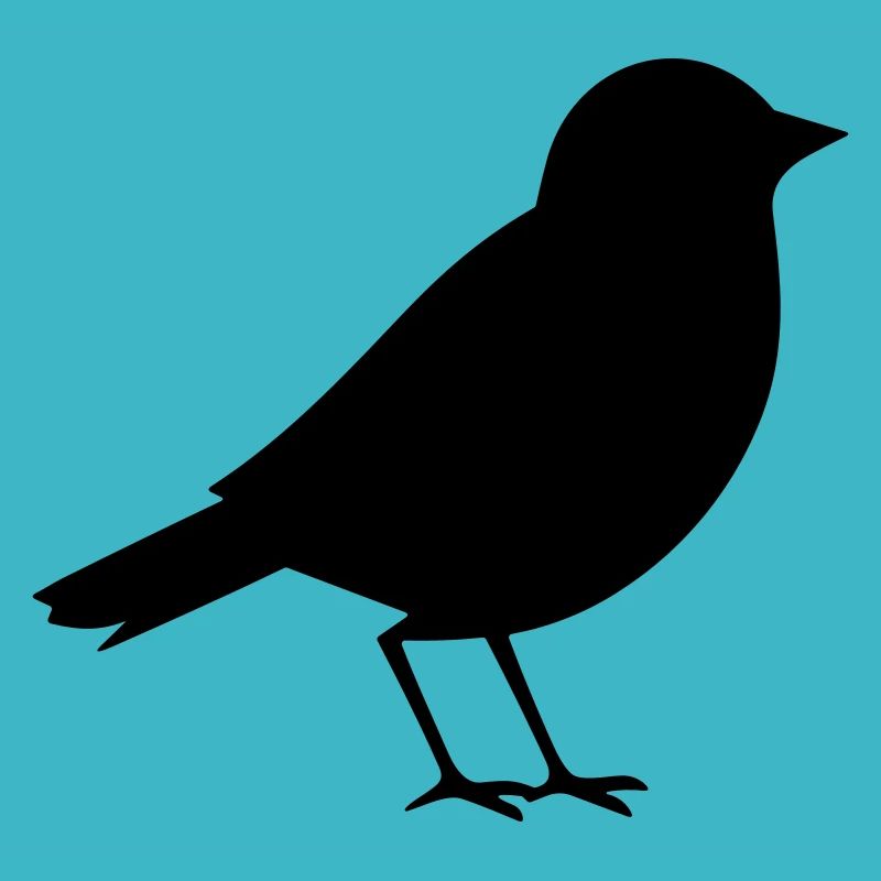 Petit oiseau