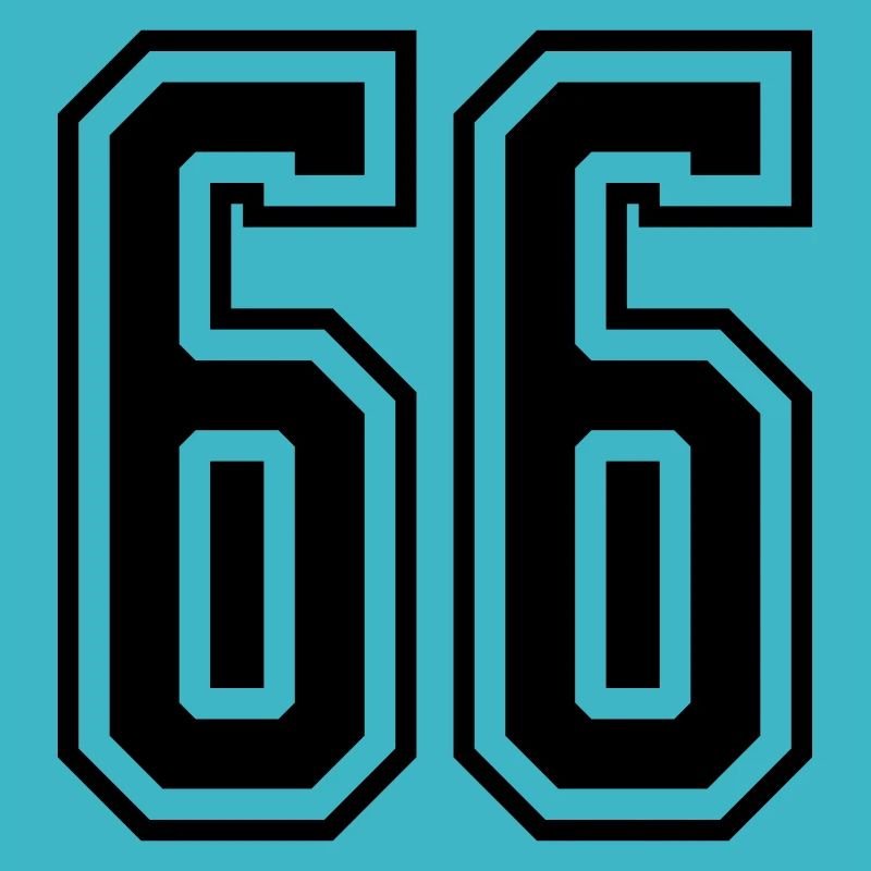 66 Numéro de numéro